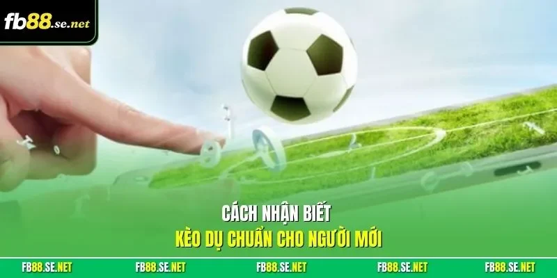 Cách nhận biết kèo dụ chuẩn cho người mới