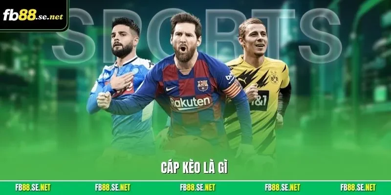 Cáp kèo là gì