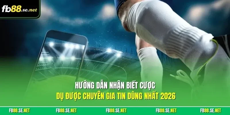 Hướng dẫn nhận biết cược dụ được chuyên gia tin dùng nhất 2026
