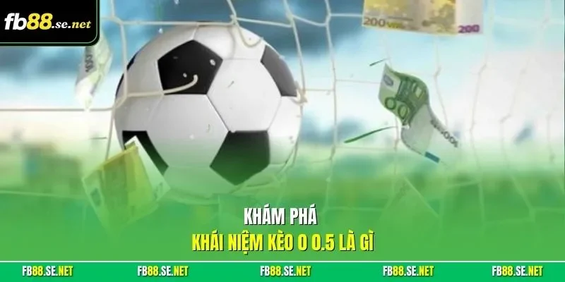 Khám phá khái niệm kèo 0 0.5 là gì