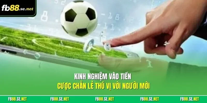 Kinh nghiệm vào tiền cược chẵn lẻ thú vị với người mới