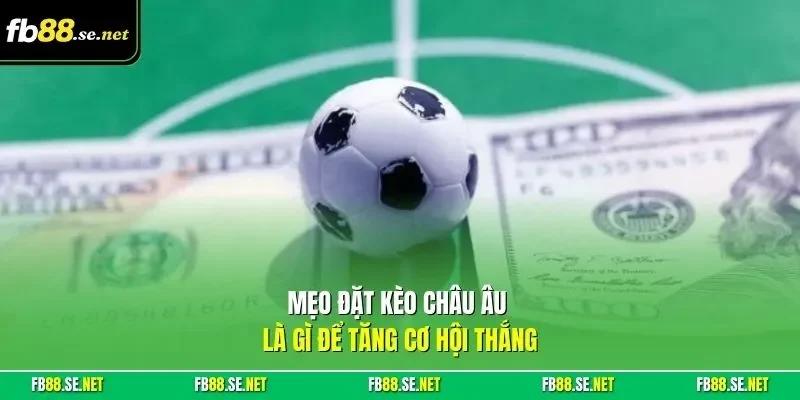 Mẹo đặt kèo châu Âu là gì để tăng cơ hội thắng