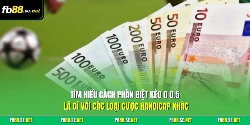 Tìm hiểu cách phân biệt kèo 0 0.5 là gì với các loại cược handicap khác